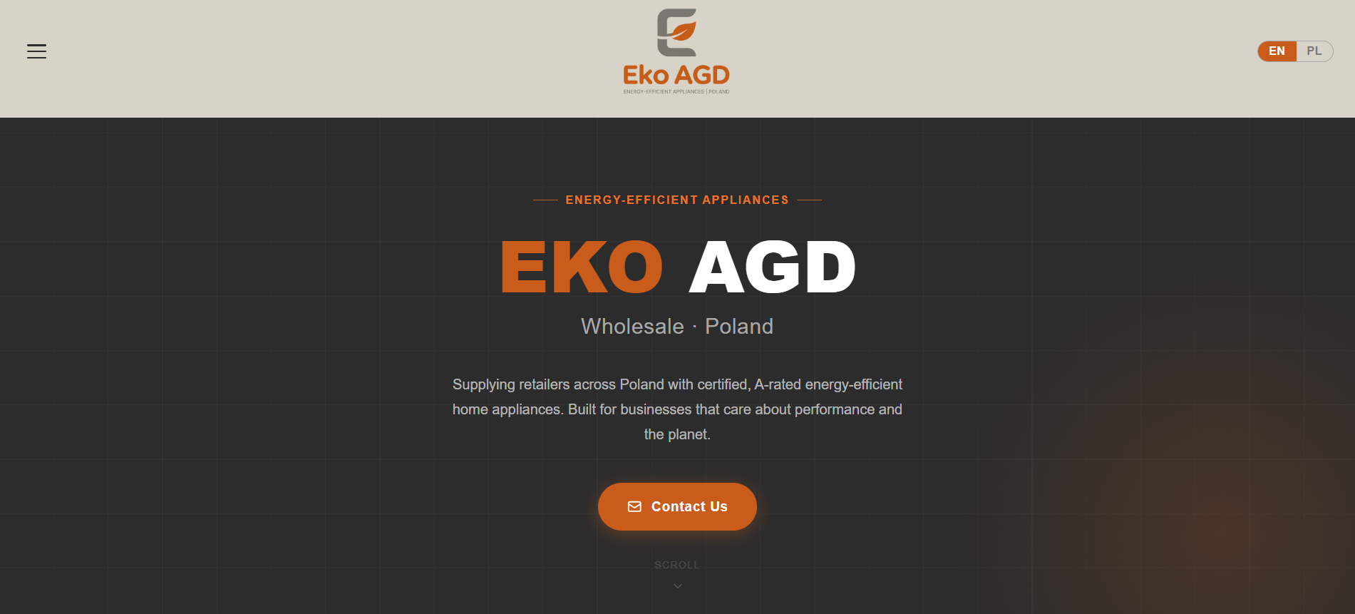 Screenshot of Eko AGD's website