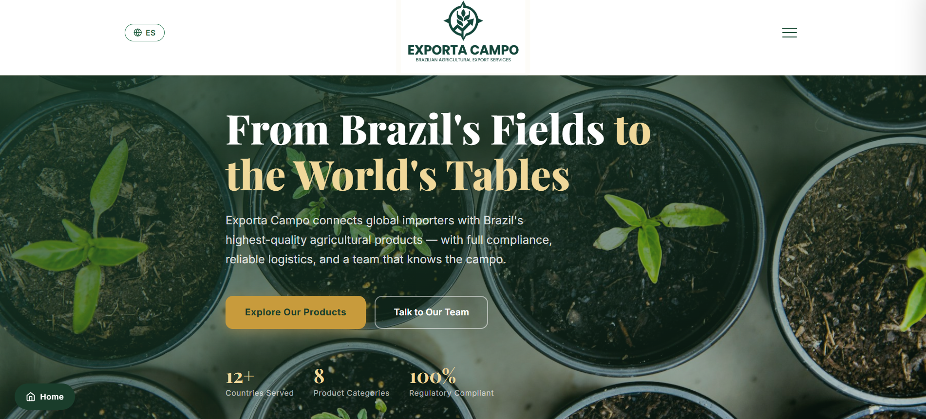 Screenshot of Exporta Campo's website